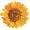 organisation logo