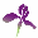 Colostomy UK logo